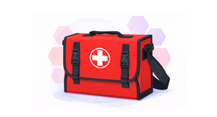 Lekárnička prvej pomoci v taške pre 10 osôb, červená