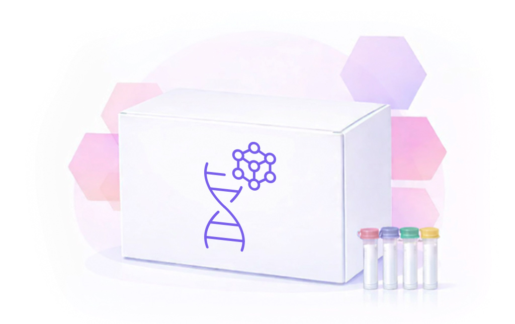 ALK/ROS1/RET Gene Fusion Detection Kit